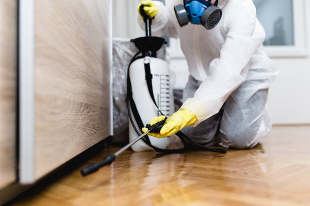 Best Pest Prevention Services  in Maan, ND