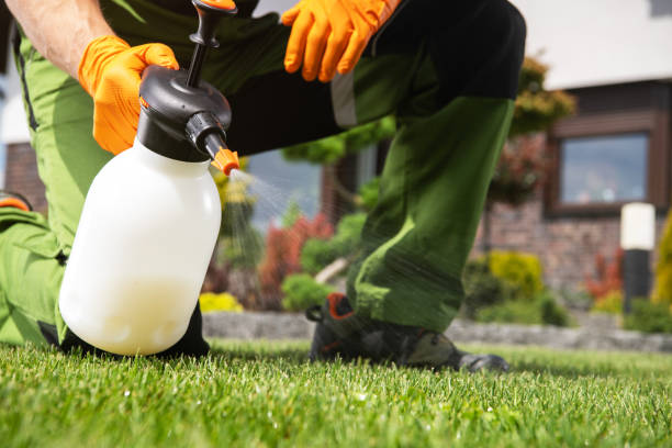 Best Affordable Pest Control Services  in Maan, ND