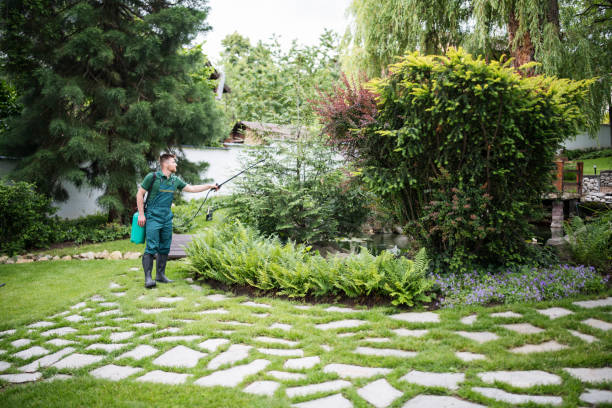 Best Pest Prevention Services  in Maan, ND