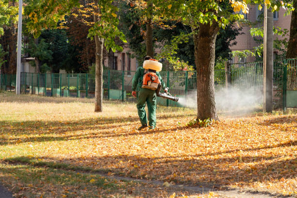 Best Wildlife Control Services  in Maan, ND