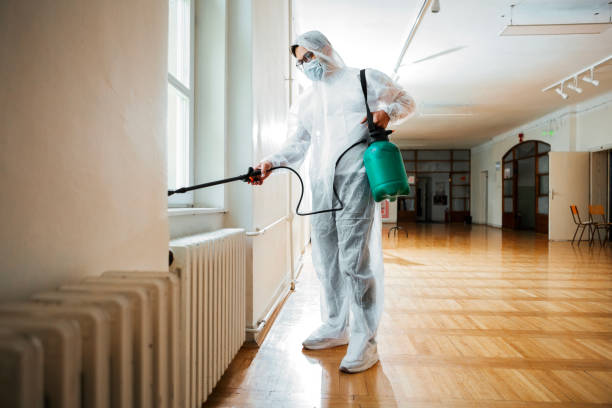 Best Emergency Pest Control  in Maan, ND