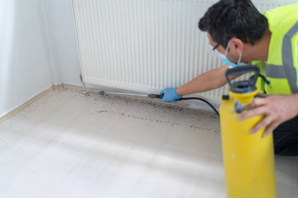 Pest Control Cost in Mandan, ND