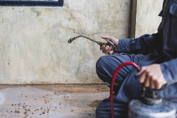 Best Pest Removal Services  in Maan, ND